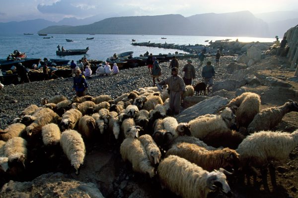 Khasab, Oman, Benefits from Eid Supply Chain to the UAE