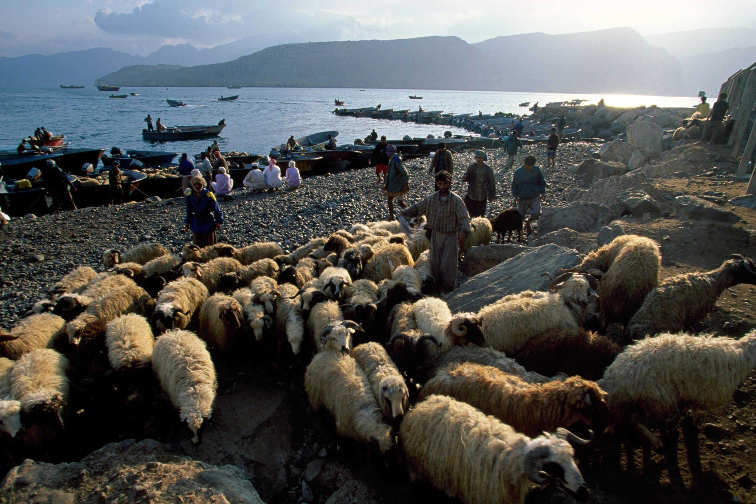 Khasab, Oman, Benefits from Eid Supply Chain to the UAE